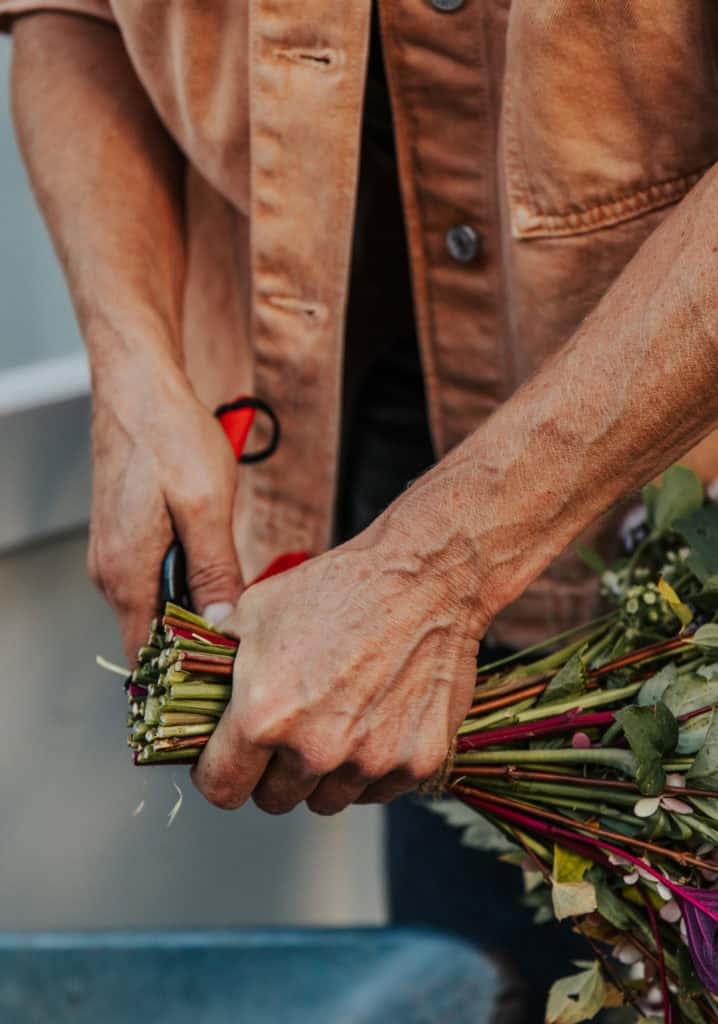 bryllup hoel gård 20.09.25 fotograf ane lindstad 1 2