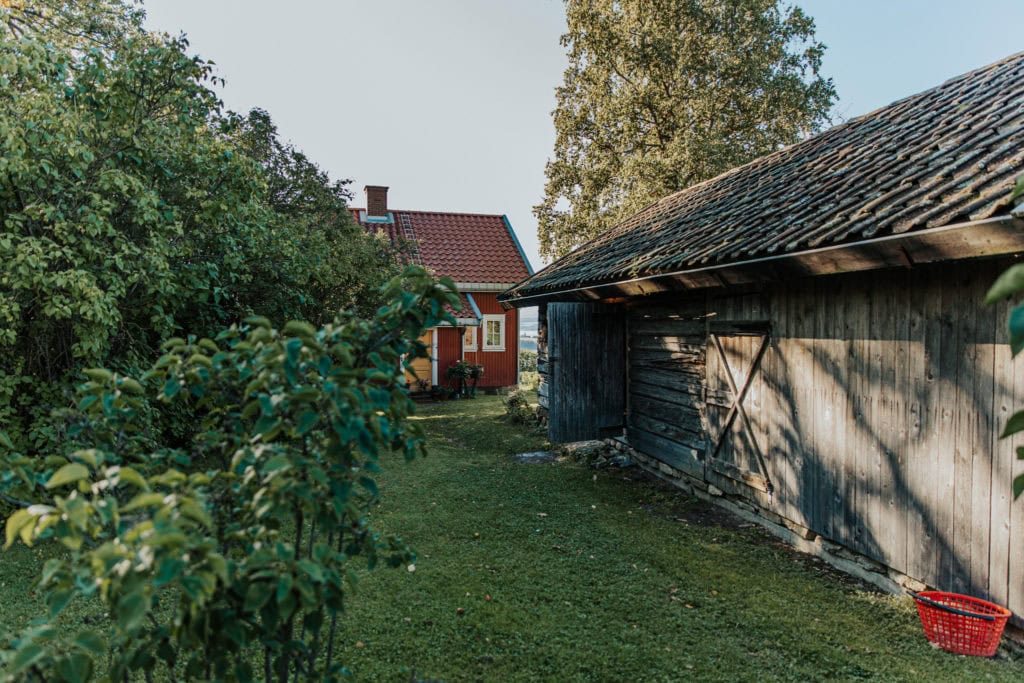 reportasje benedickte 3 ane lindstad 1