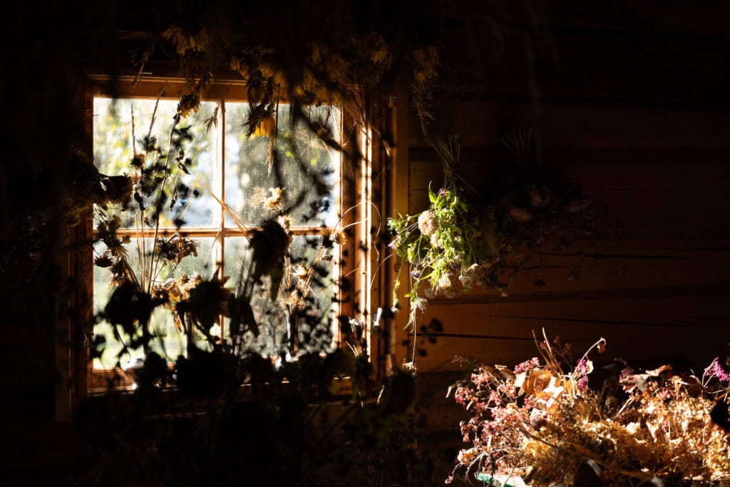 reportasje benedickte 3 ane lindstad 2