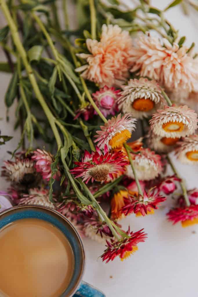 reportasje benedickte ane lindstad 1 3