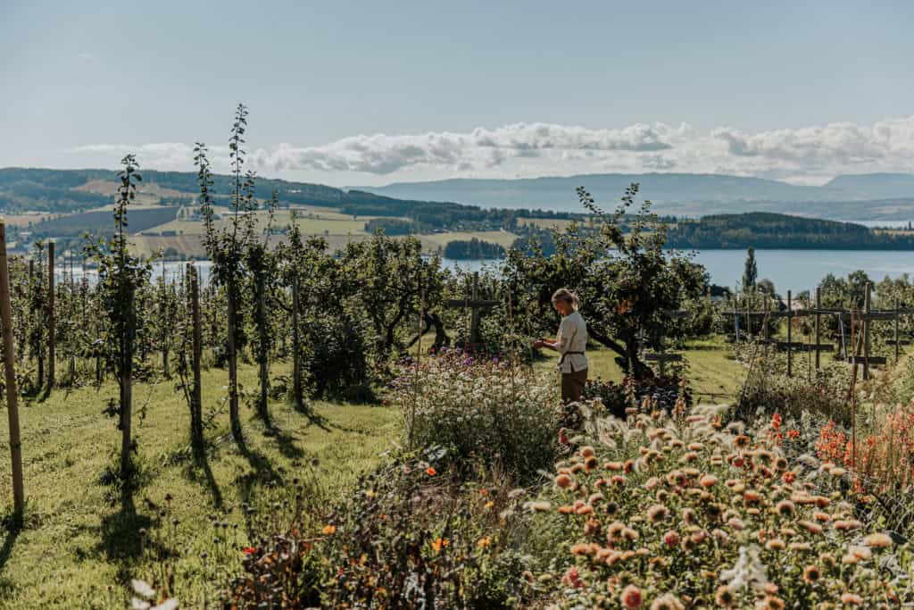 reportasje benedickte ane lindstad 13