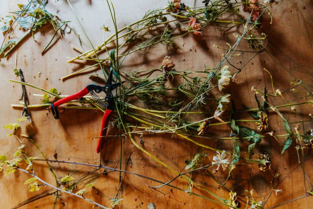 reportasje benedickte fotograf ane lindstad 1 3